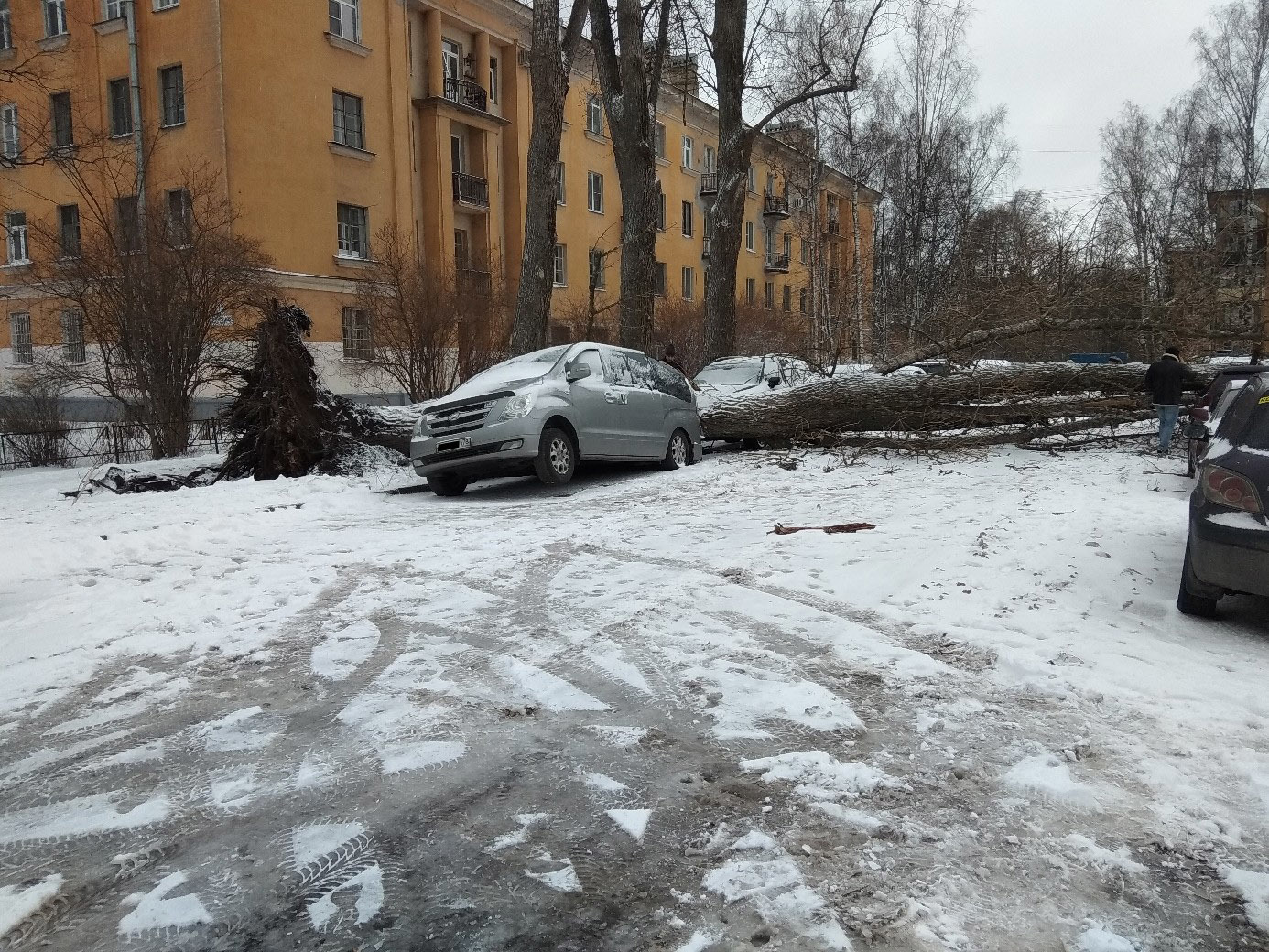 Тихорецкий пр., у дома 9